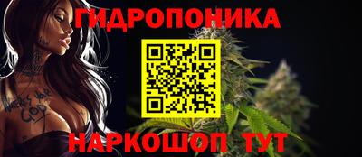 прущие грибы Тара