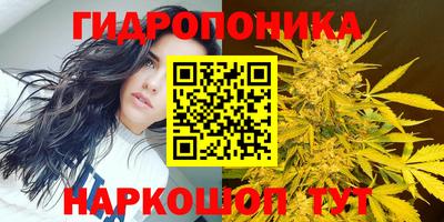 ГАЛЛЮЦИНОГЕННЫЕ ГРИБЫ Тверь