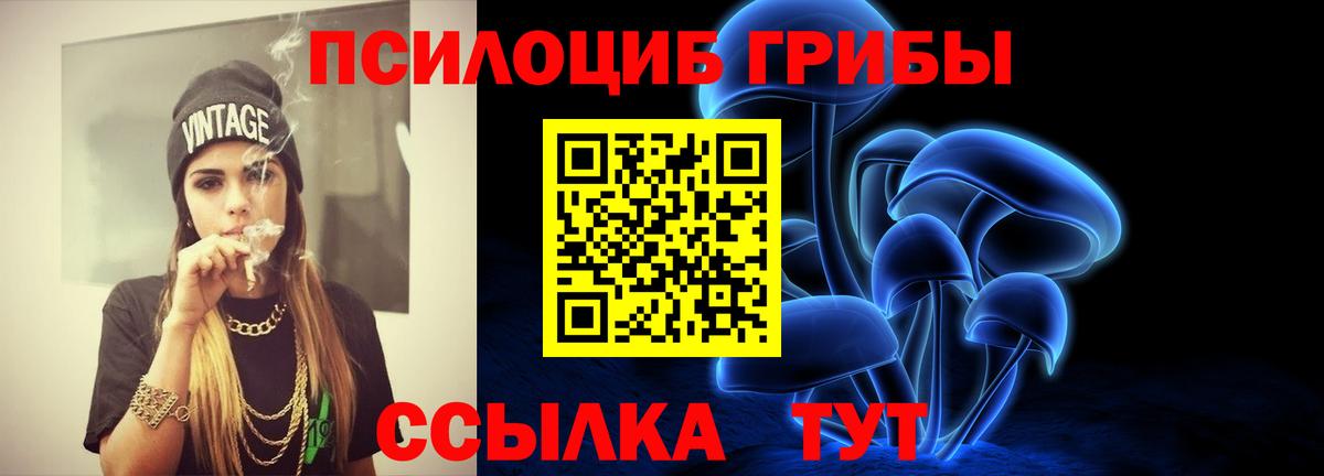 Псилоцибиновые грибы Psilocybe  Вход с VPN  Галлюциногенные грибы Psilocybine cubensis  Сегежа 